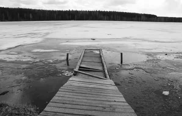 Ice, forest, bridge, lake, black and white