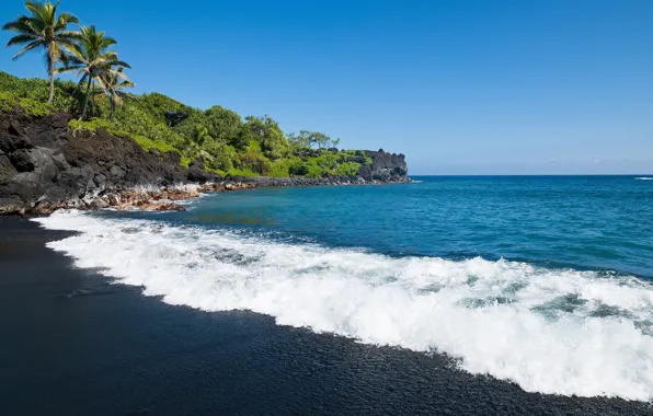 Sand, sea, beach, palm trees, black, Hawaii