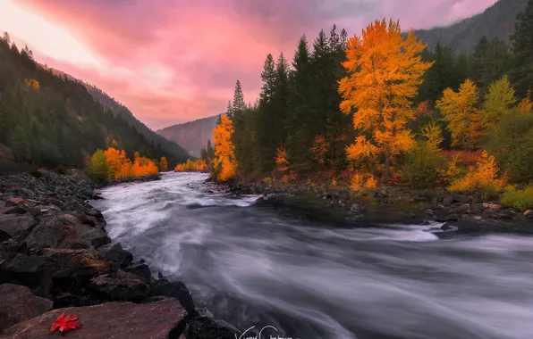 Picture autumn, forest, nature, river, stones, rocks, paint, stream