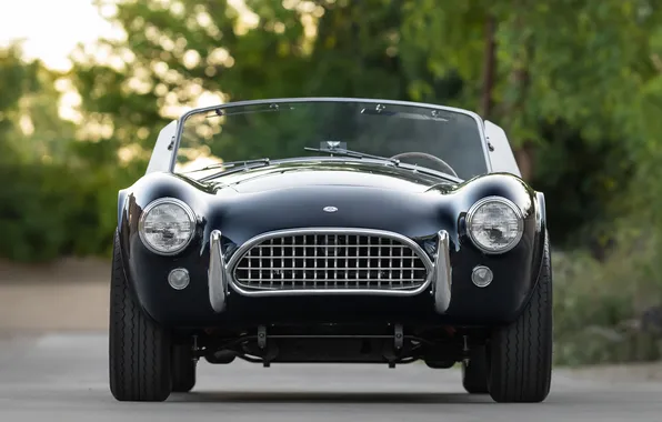 Black, Shelby, exterior, retro cars, 1963, Shelby Cobra, the only instance, Cobra 289