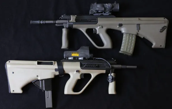 Machines, Tavor, TAR-21, STEYR Aug