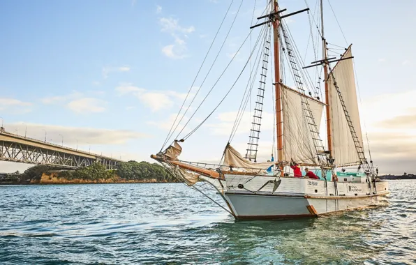 Ship, sailboat, team, sails, mast, sailing, Ted Ashby, Cruiser yacht