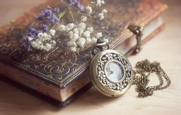 Watch, Notepad, the dried flowers