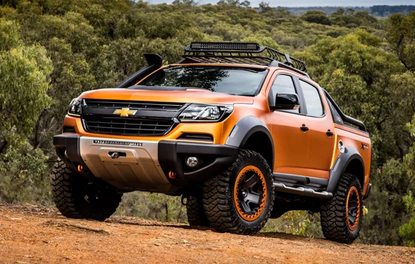 Chevrolet, pickup, 4x4, Colorado, Z71, 2016, Xtreme Concept, in a forest