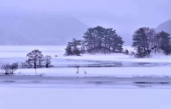 Picture ice, winter, snow, trees, mountains, fog, lake, Islands