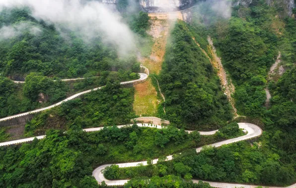 Road, greens, forest, trees, mountains, fog, China, serpentine