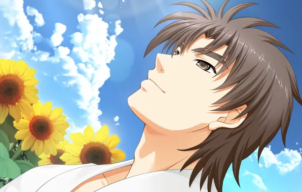 The sky, sunflowers, anime, art, guy, Angel Beats!