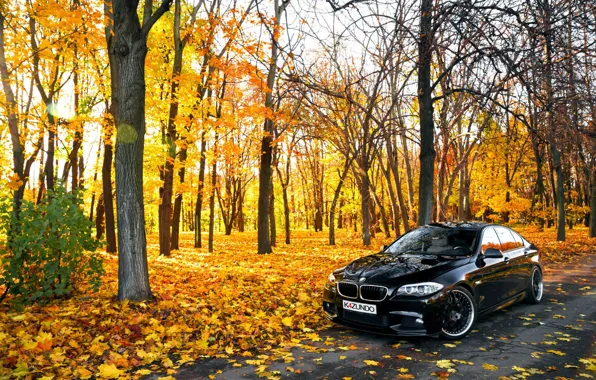 Picture leaves, Autumn, BMW, BMW, black, Autumn, F10, 550X