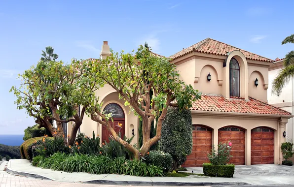 Trees, the city, house, photo, the bushes