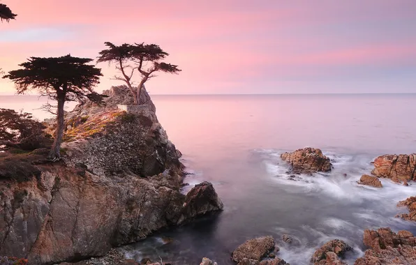 Sea, landscape, shore