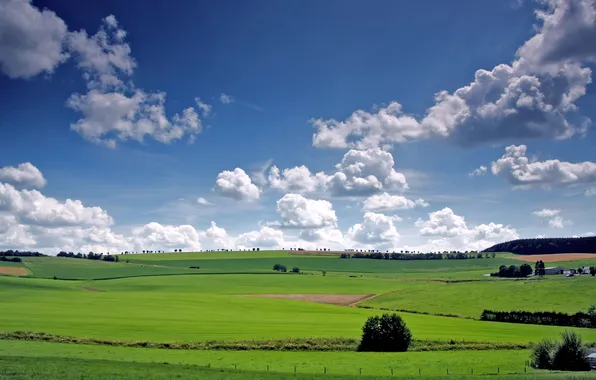 Picture the sky, clouds, trees, field, valley