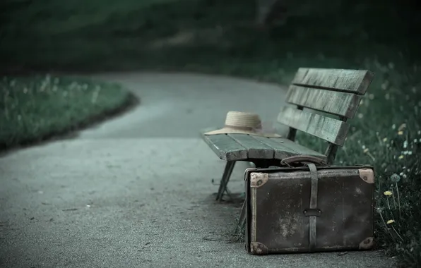 Park, suitcase, bench