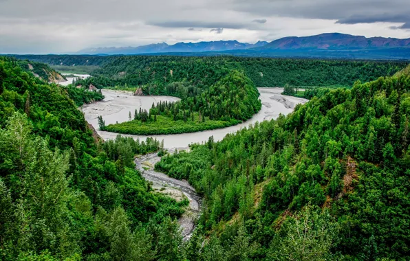 Forest, trees, landscape, river, Alaska, Denali National Park