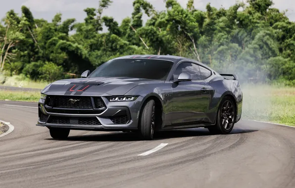 Brazil, Ford Mustang, Ford Mustang GT, 2025, 60th Anniversary, Performance Manual