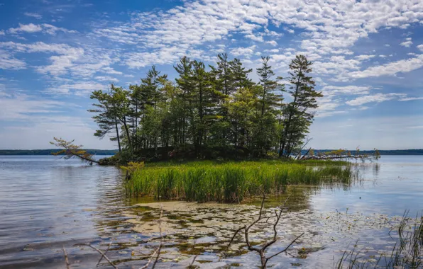 Picture the sky, clouds, trees, nature, lake, island
