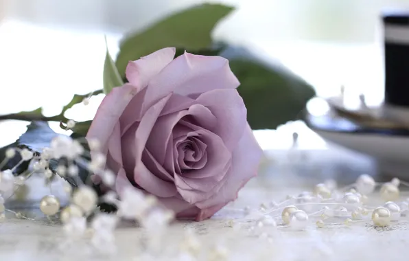 Picture macro, roses, beads