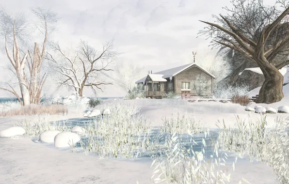 Picture winter, snow, trees, landscape, house
