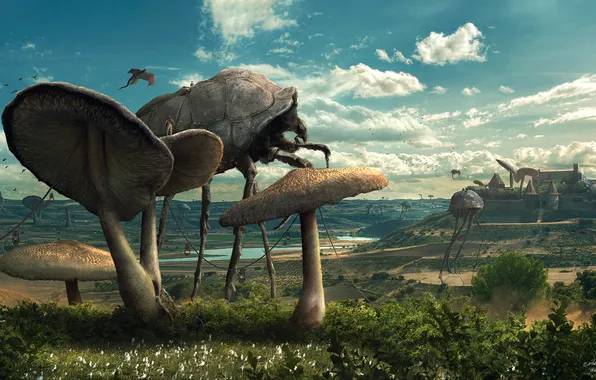 Mushrooms, art, Morrowind