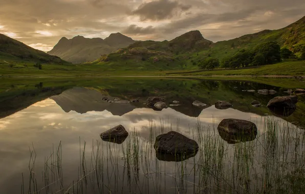 Grass, trees, mountains, clouds, lake, stones, the evening
