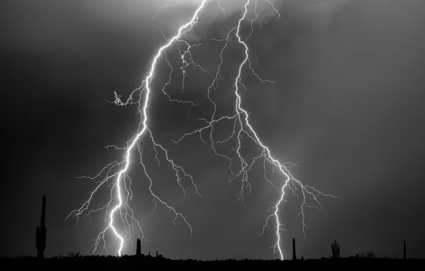 The sky, nature, element, lightning