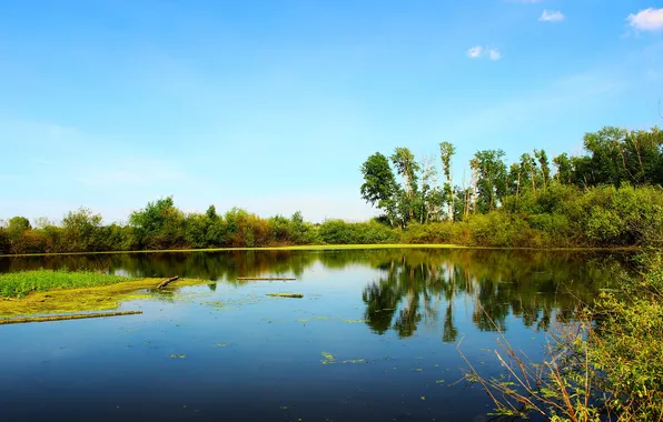 Grass, reflection, river, the sky.