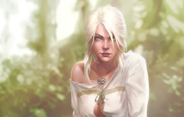 Download wallpaper girl, character, art, artwork, The Witcher 3, Ciri ...