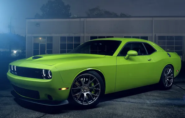 Picture Muscle, Dodge, Challenger, Hell, Car, Green, Color, Cat