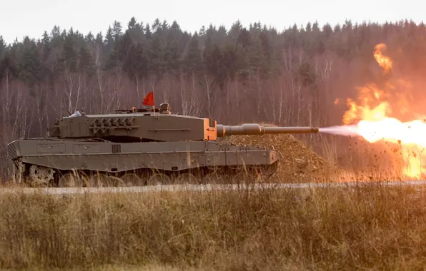 Picture army, Germany, tank, leopard 2a5