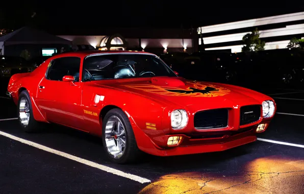 Pontiac, Firebird, 1972, Trans Am, Pontiac Firebird Trans Am