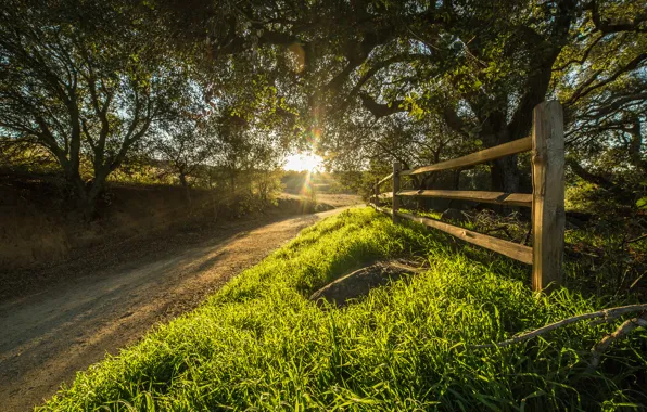 Picture road, the sun, rays, trees, the fence, CA, USA, Rancho Santa Rosa