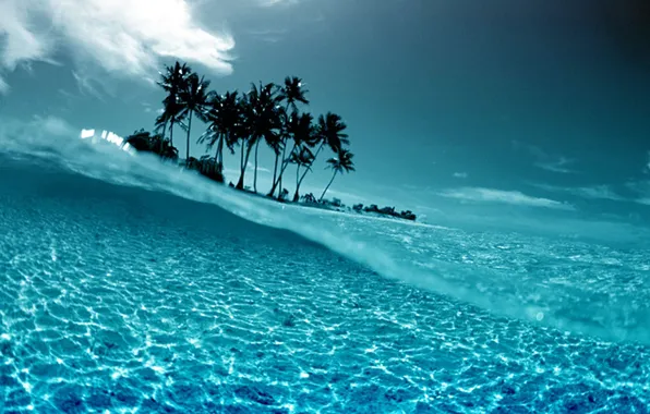 Water, transparency, palm trees, the ocean, sunset, island, tropical