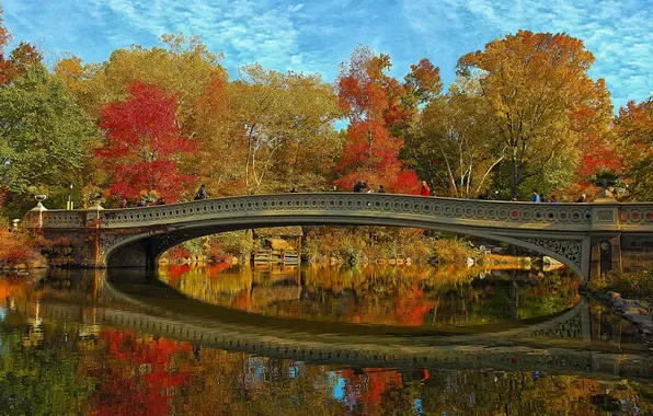 Autumn, the sky, trees, landscape, bridge, New York, USA, Central Park