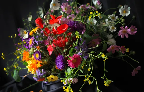 Mac, bouquet, kosmeya, asters, calendula