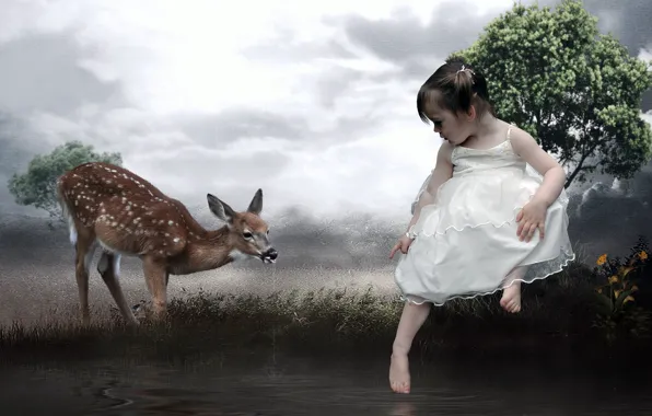 Picture style, deer, girl, installation