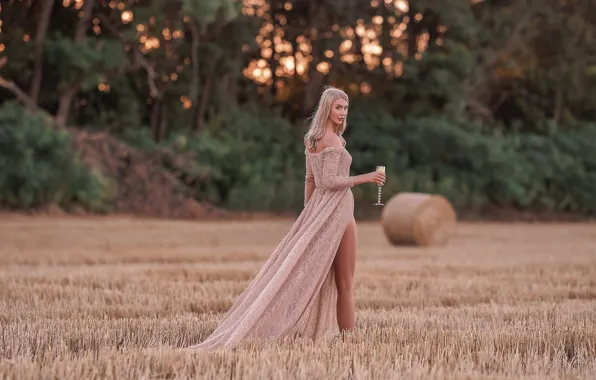 Picture field, look, girl, pose, back, glass, figure, dress