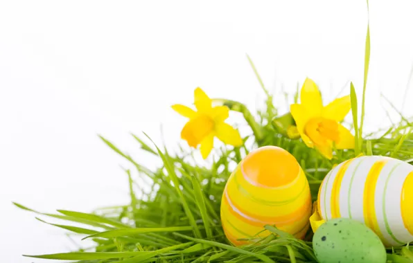 Eggs, Easter, Easter eggs, easter, happy easter