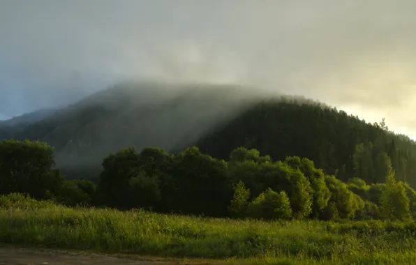 The sky, trees, landscape, mountains, Nature, Fog, glade of the mountain