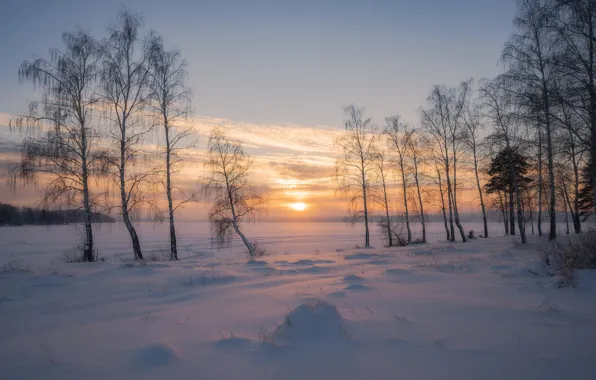 Winter, snow, trees, sunset, Russia, birch, Sergey Mezhin