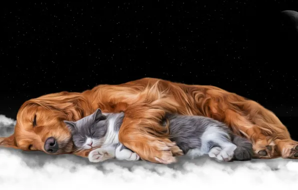 Cat, night, the moon, photoshop, sleep, dog, friends, sleeping