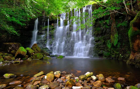 Branches, stones, rocks, waterfall, spring, flowering