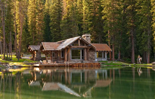 Forest, water, the sun, trees, lake, house, reflection, shore