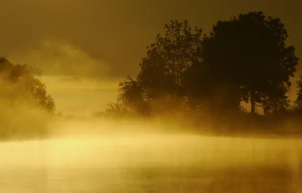 Picture landscape, sunset, fog, lake