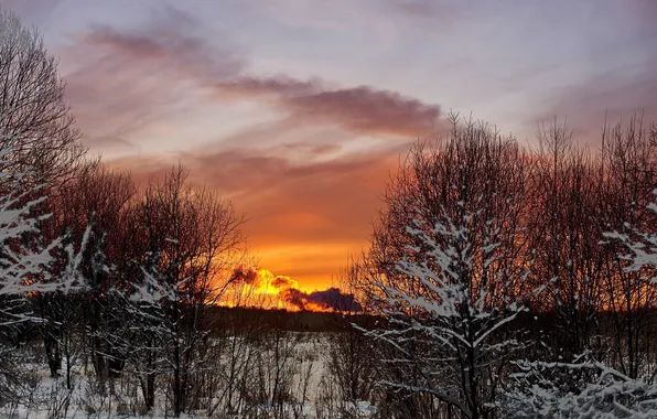 Picture the sky, clouds, snow, trees, sunset, Winter, the evening