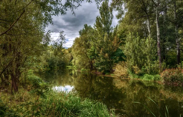 Greens, water, trees, pond