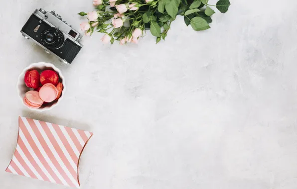 Roses, bouquet, the camera, bouquet, macaroons