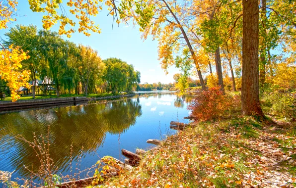 Autumn, trees, nature, river, Riverside Walk