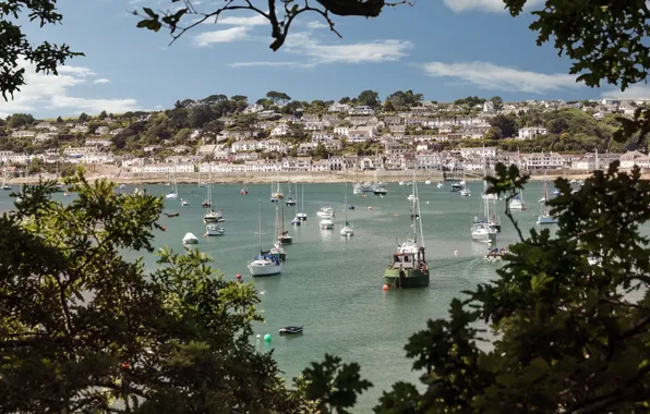 Trees, England, yachts, panorama, boats, harbour, England, Cornwall