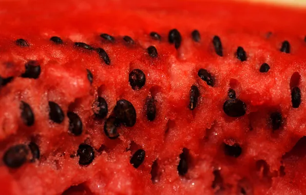 Picture watermelon, bone, the flesh