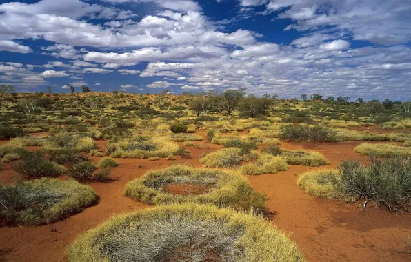 Picture ring, Australia, grass desert