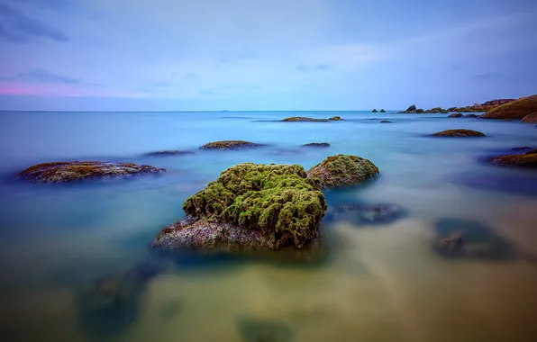 Sea, the sky, clouds, stones, plant